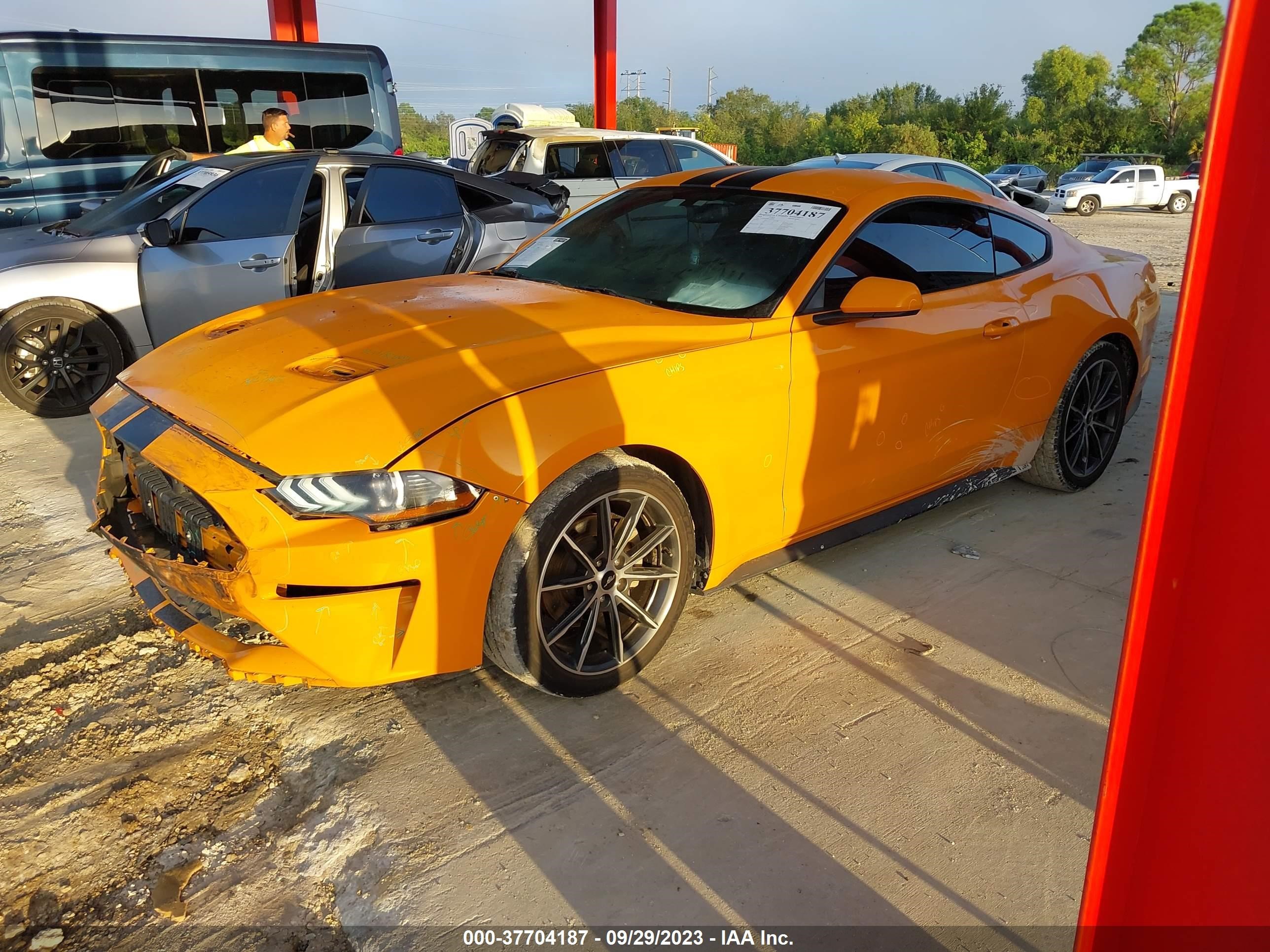 Photo 1 VIN: 1FA6P8TH9K5116931 - FORD MUSTANG 