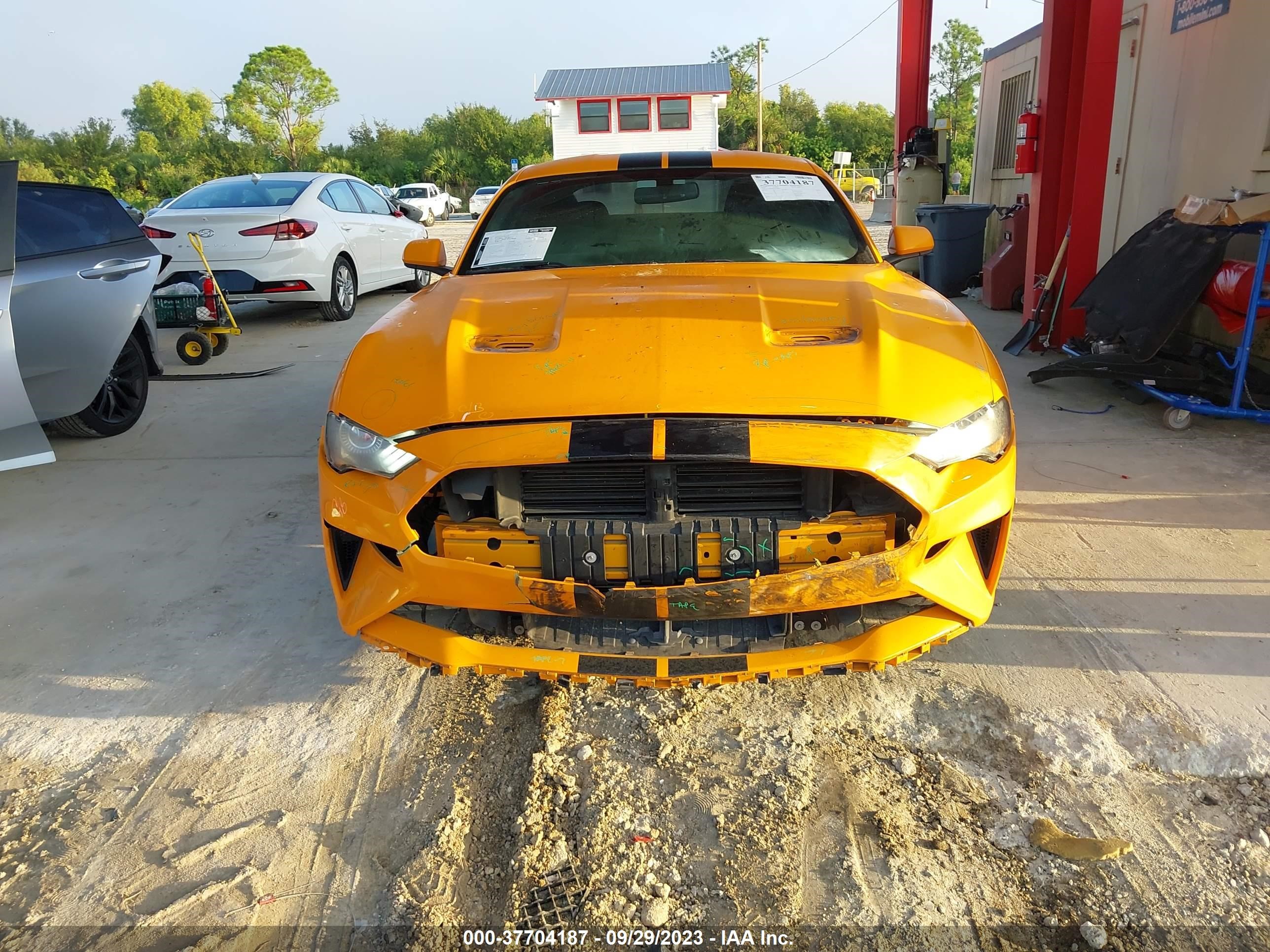 Photo 11 VIN: 1FA6P8TH9K5116931 - FORD MUSTANG 