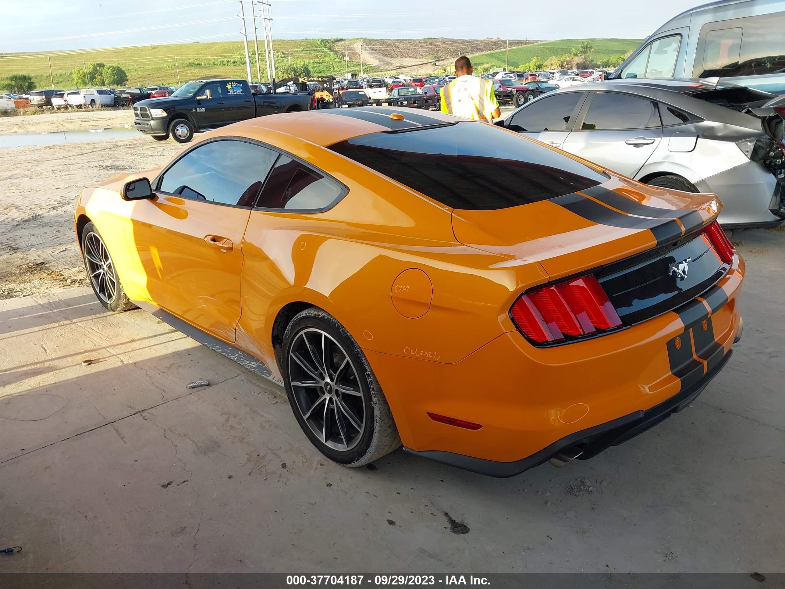 Photo 2 VIN: 1FA6P8TH9K5116931 - FORD MUSTANG 