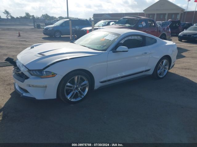 Photo 1 VIN: 1FA6P8TH9K5134474 - FORD MUSTANG 