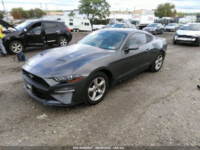 Photo 1 VIN: 1FA6P8TH9K5138038 - FORD MUSTANG 