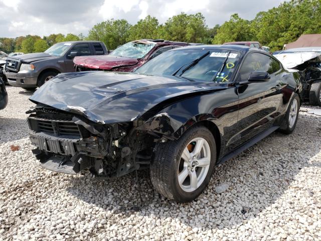 Photo 1 VIN: 1FA6P8TH9K5204233 - FORD MUSTANG 