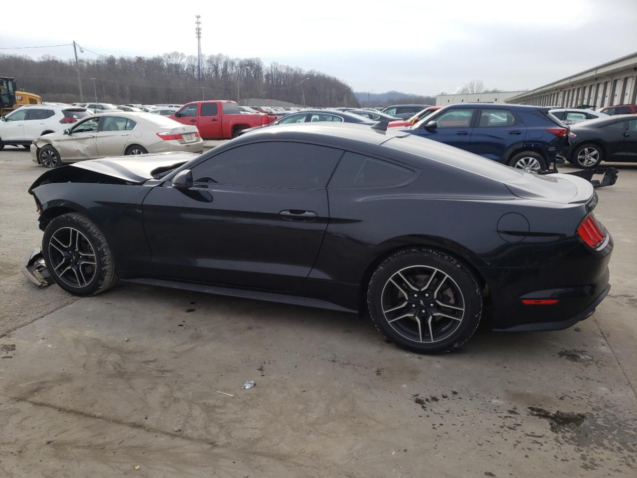 Photo 1 VIN: 1FA6P8TH9L5154211 - FORD MUSTANG 