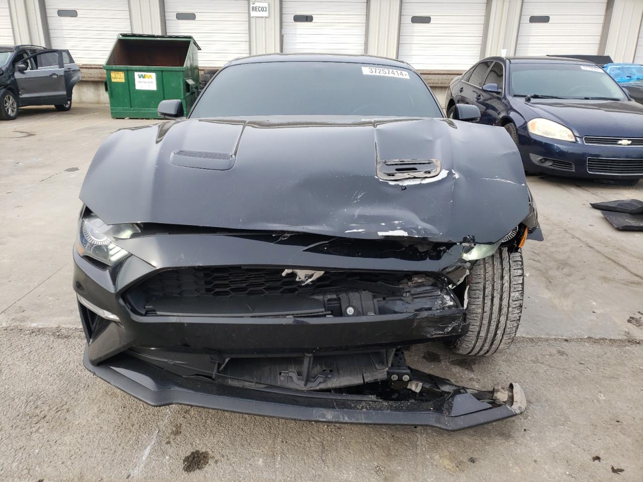 Photo 4 VIN: 1FA6P8TH9L5154211 - FORD MUSTANG 