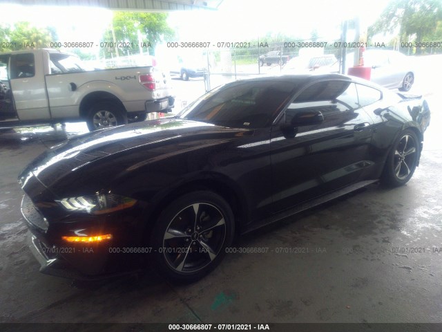 Photo 1 VIN: 1FA6P8TH9L5167069 - FORD MUSTANG 