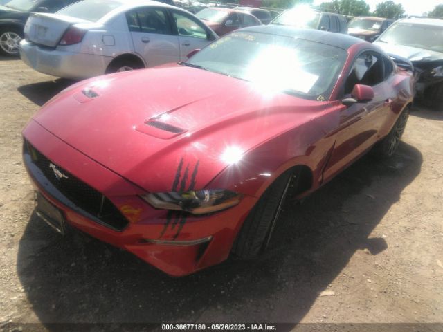 Photo 1 VIN: 1FA6P8TH9L5183756 - FORD MUSTANG 