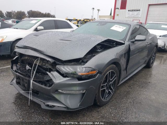 Photo 1 VIN: 1FA6P8TH9M5104362 - FORD MUSTANG 