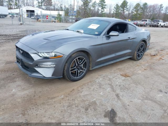 Photo 1 VIN: 1FA6P8TH9N5100667 - FORD MUSTANG 