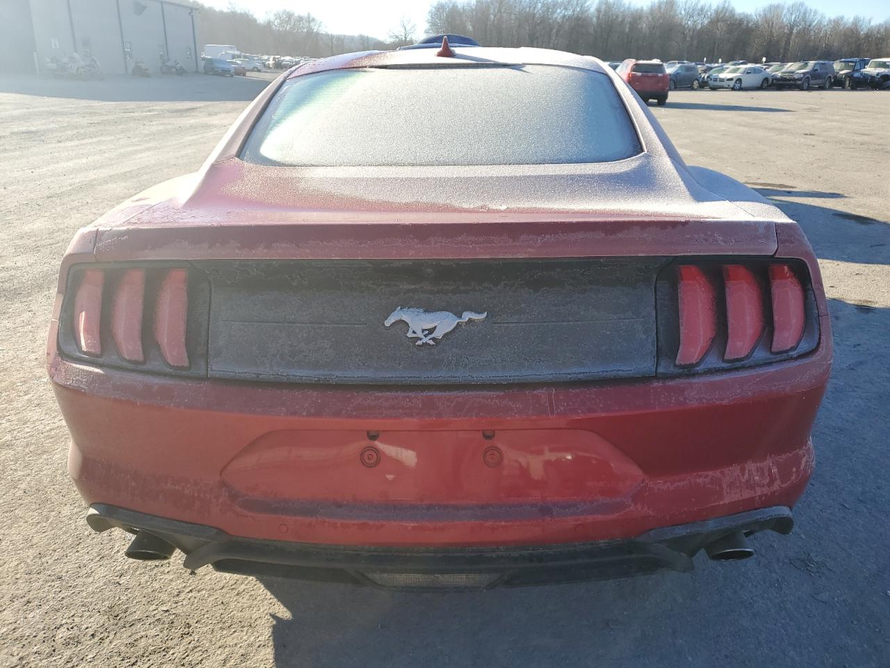 Photo 5 VIN: 1FA6P8TH9N5149285 - FORD MUSTANG 