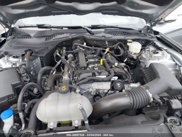 Photo 9 VIN: 1FA6P8TH9P5101997 - FORD MUSTANG 