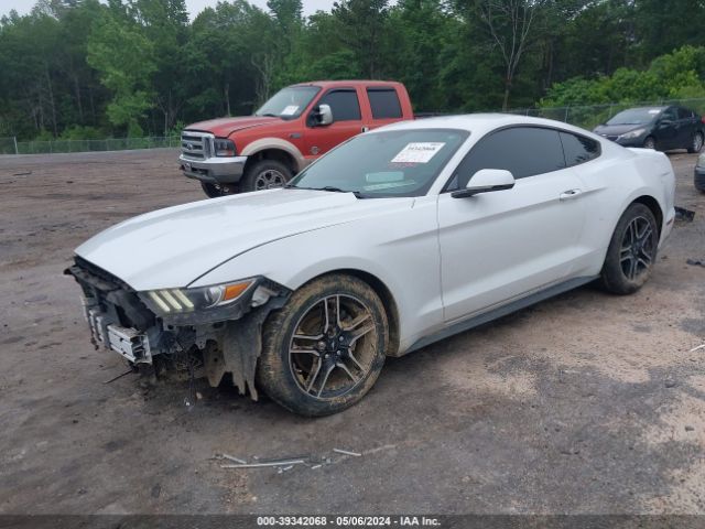 Photo 1 VIN: 1FA6P8THXF5314018 - FORD MUSTANG 