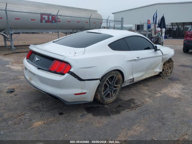 Photo 3 VIN: 1FA6P8THXF5314018 - FORD MUSTANG 