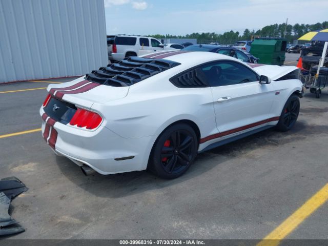 Photo 3 VIN: 1FA6P8THXF5315976 - FORD MUSTANG 