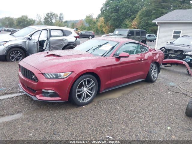 Photo 1 VIN: 1FA6P8THXF5325536 - FORD MUSTANG 