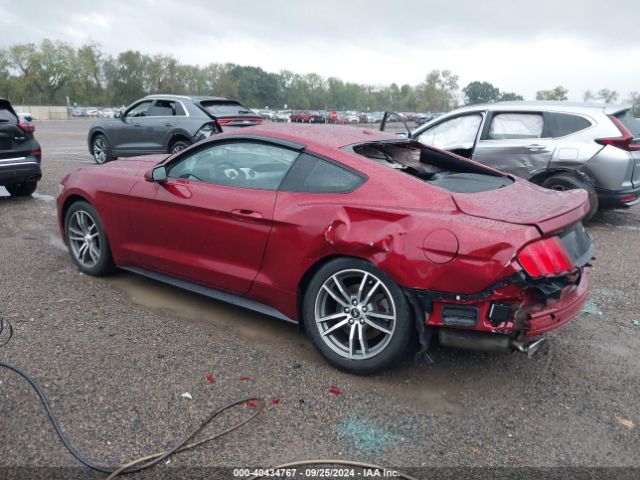 Photo 2 VIN: 1FA6P8THXF5325536 - FORD MUSTANG 