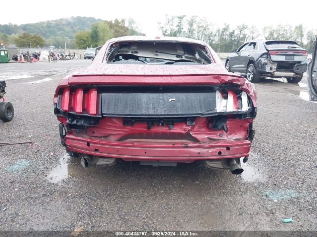 Photo 5 VIN: 1FA6P8THXF5325536 - FORD MUSTANG 