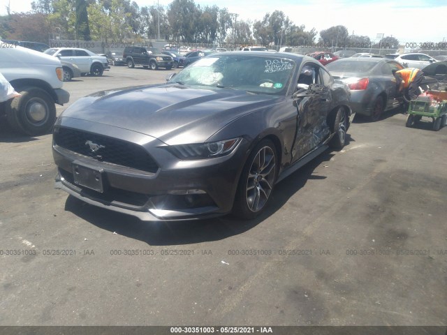 Photo 1 VIN: 1FA6P8THXF5363526 - FORD MUSTANG 