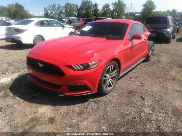 Photo 1 VIN: 1FA6P8THXF5368399 - FORD MUSTANG 