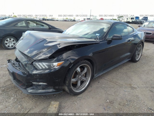 Photo 1 VIN: 1FA6P8THXF5395697 - FORD MUSTANG 