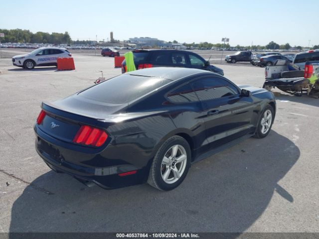 Photo 3 VIN: 1FA6P8THXF5433381 - FORD MUSTANG 