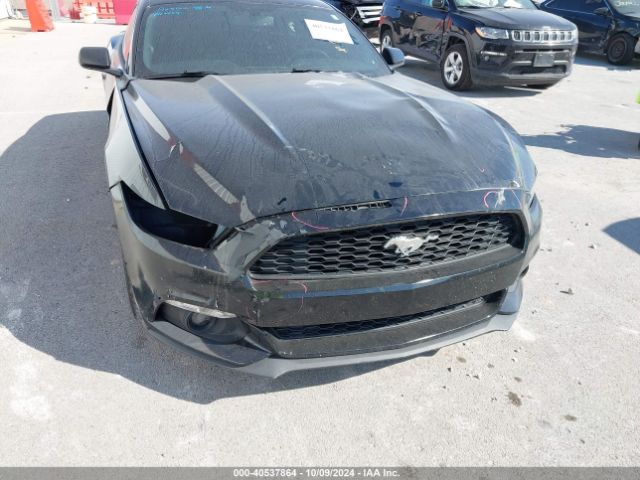 Photo 5 VIN: 1FA6P8THXF5433381 - FORD MUSTANG 