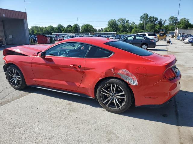 Photo 1 VIN: 1FA6P8THXG5222814 - FORD MUSTANG 