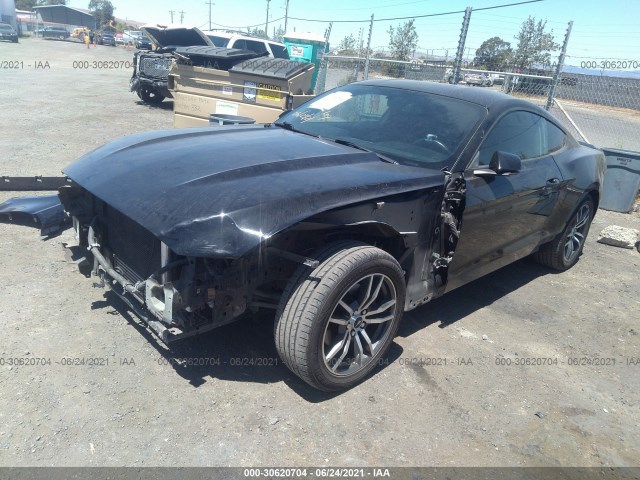 Photo 1 VIN: 1FA6P8THXG5231626 - FORD MUSTANG 