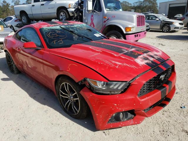 Photo 0 VIN: 1FA6P8THXG5241590 - FORD MUSTANG 