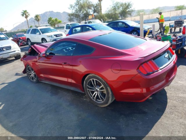 Photo 2 VIN: 1FA6P8THXG5243579 - FORD MUSTANG 