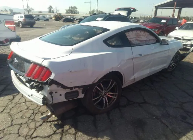 Photo 3 VIN: 1FA6P8THXG5268501 - FORD MUSTANG 