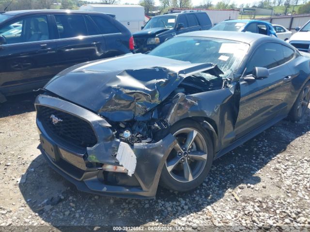 Photo 5 VIN: 1FA6P8THXG5278266 - FORD MUSTANG 