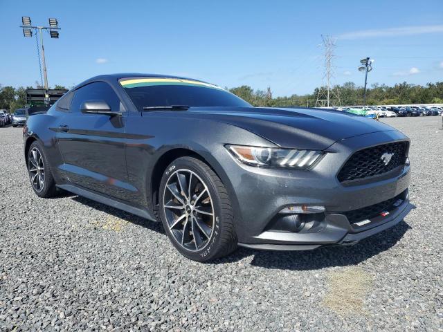 Photo 3 VIN: 1FA6P8THXG5283273 - FORD MUSTANG 