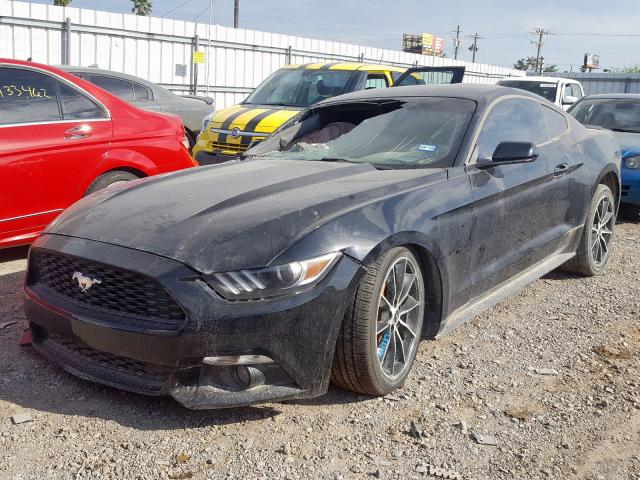 Photo 1 VIN: 1FA6P8THXG5327546 - FORD MUSTANG 