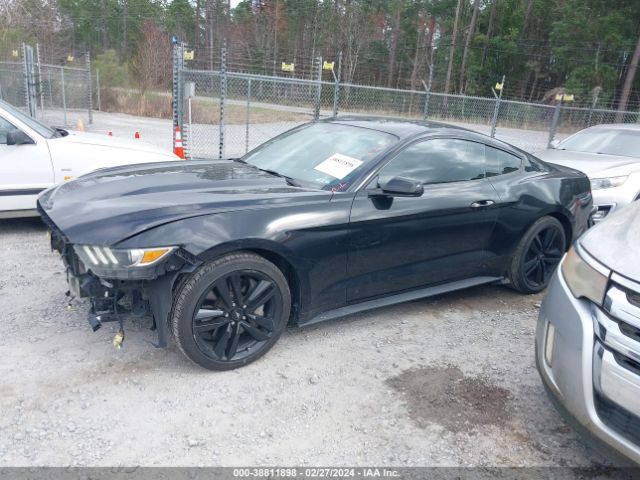 Photo 1 VIN: 1FA6P8THXH5239078 - FORD MUSTANG 