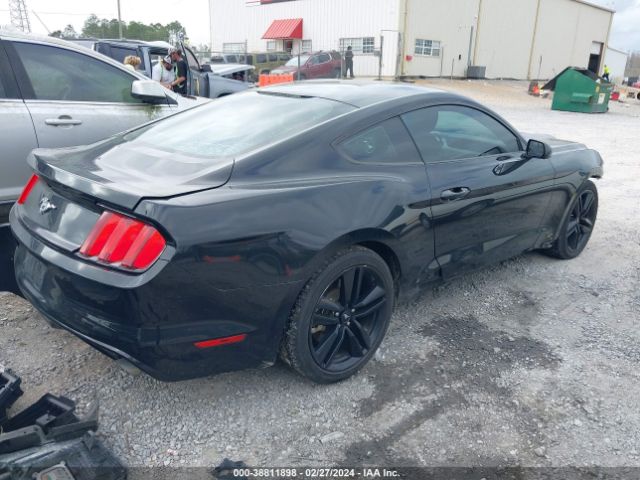 Photo 3 VIN: 1FA6P8THXH5239078 - FORD MUSTANG 