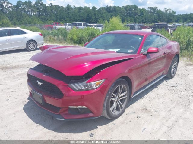 Photo 1 VIN: 1FA6P8THXH5246998 - FORD MUSTANG 