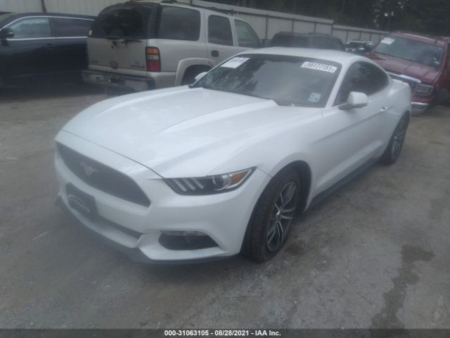 Photo 1 VIN: 1FA6P8THXH5249948 - FORD MUSTANG 