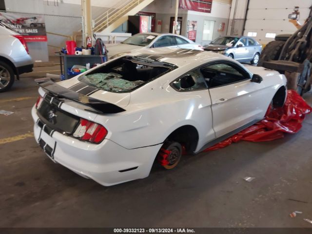 Photo 3 VIN: 1FA6P8THXH5275353 - FORD MUSTANG 