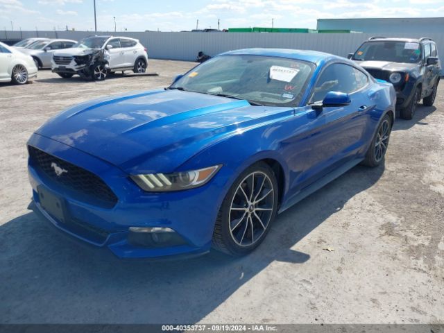 Photo 5 VIN: 1FA6P8THXH5281217 - FORD MUSTANG 