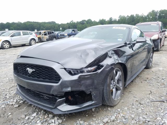 Photo 1 VIN: 1FA6P8THXH5302289 - FORD MUSTANG 