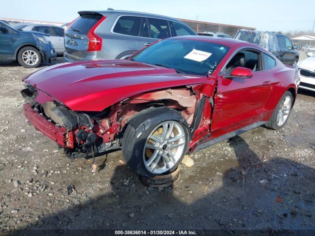 Photo 1 VIN: 1FA6P8THXH5308836 - FORD MUSTANG 