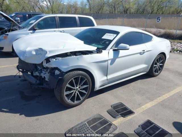 Photo 1 VIN: 1FA6P8THXH5344669 - FORD MUSTANG 