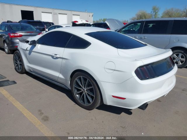 Photo 2 VIN: 1FA6P8THXH5344669 - FORD MUSTANG 