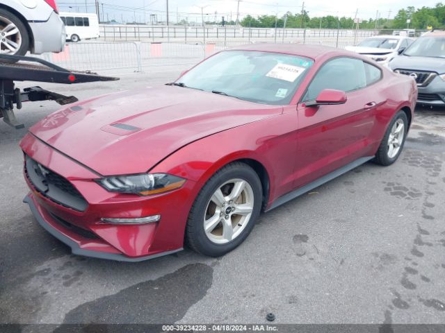 Photo 1 VIN: 1FA6P8THXJ5101725 - FORD MUSTANG 