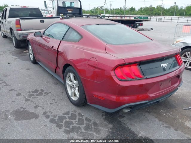 Photo 2 VIN: 1FA6P8THXJ5101725 - FORD MUSTANG 