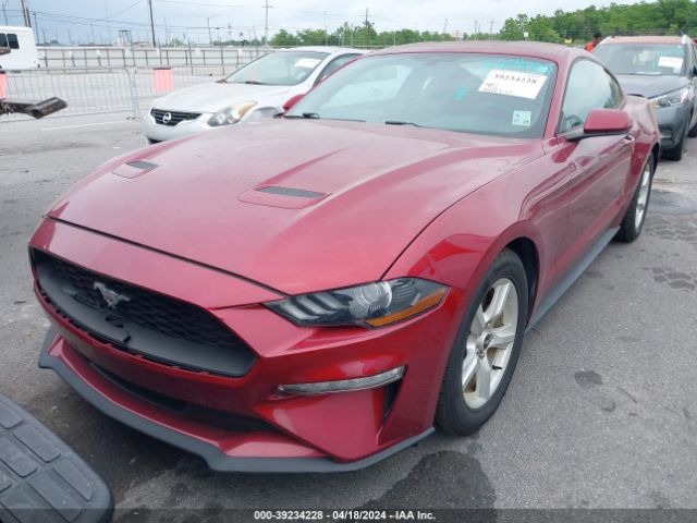 Photo 5 VIN: 1FA6P8THXJ5101725 - FORD MUSTANG 