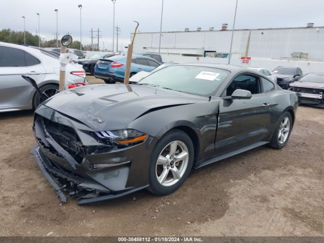 Photo 1 VIN: 1FA6P8THXJ5125619 - FORD MUSTANG 