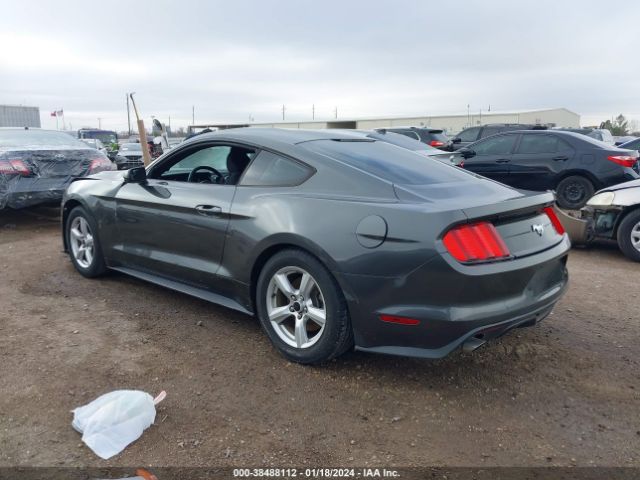 Photo 2 VIN: 1FA6P8THXJ5125619 - FORD MUSTANG 