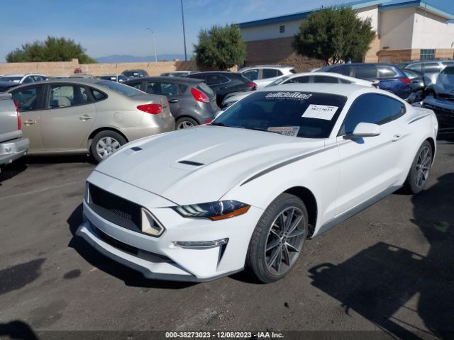 Photo 1 VIN: 1FA6P8THXJ5159849 - FORD MUSTANG 