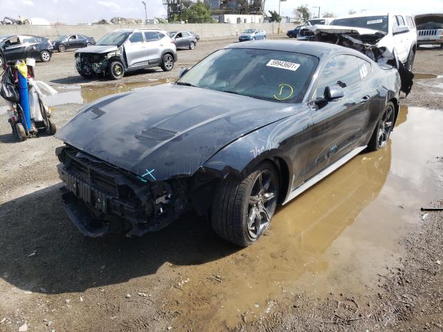 Photo 1 VIN: 1FA6P8THXJ5176442 - FORD MUSTANG 